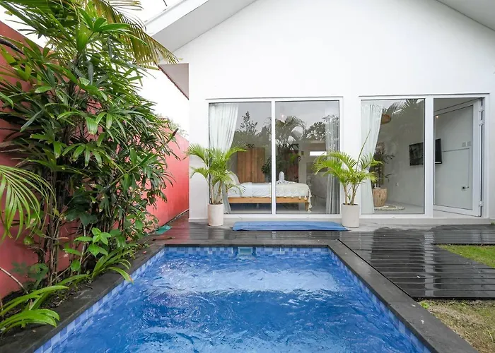 Polly Canggu 1br Private Pool By Bali Bliss *